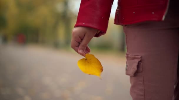 Nierozpoznawalna Dziewczyna Stojąca Alejce Parku Trzymająca Żółty Liść Dłoni Zbliżenie — Wideo stockowe