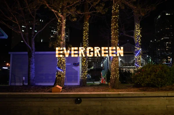 Halifax Rıhtımı, Nova Scotia. Yazıt Işıklı Evergreen.