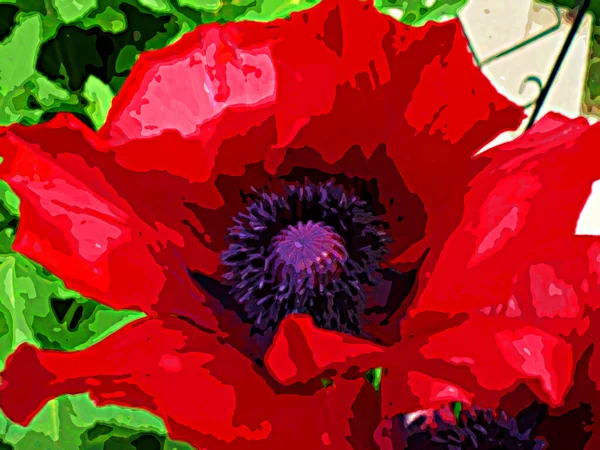 Impressionistische Rode Papaver Volle Bloei — Stockfoto