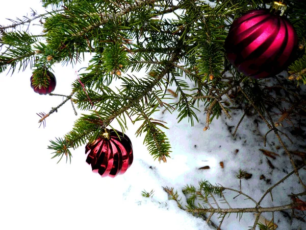 Pine Branches Decorated Red Christmas Ornaments Snow Background — Fotografia de Stock