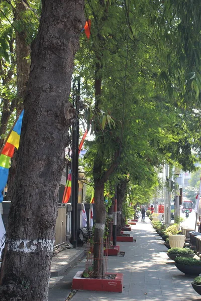 Calçada Cidade Semarang Tem Várias Árvores Alinhadas — Fotografia de Stock