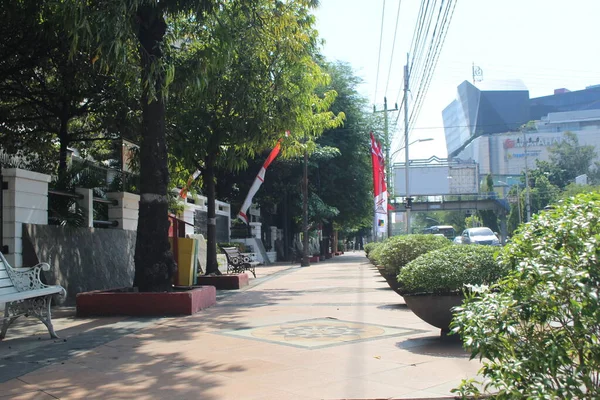 Quiet Sidewalk Side City Street Trees Plants Pots — стокове фото