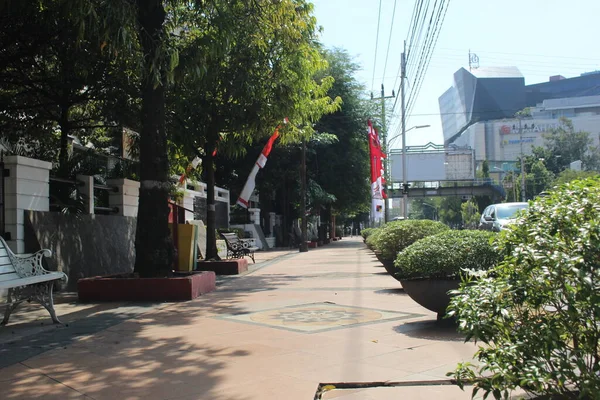 Quiet Sidewalk Side City Street Trees Plants Pots — стокове фото