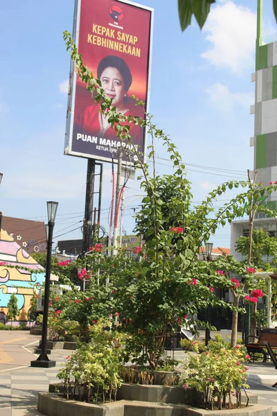 Uma Planta Grande Parque Outdoor Político Atrás Dele — Fotografia de Stock