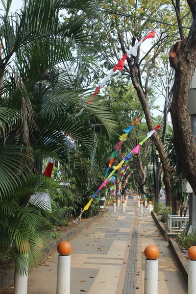 Vista Acera Con Árboles Grandes Durante Día —  Fotos de Stock