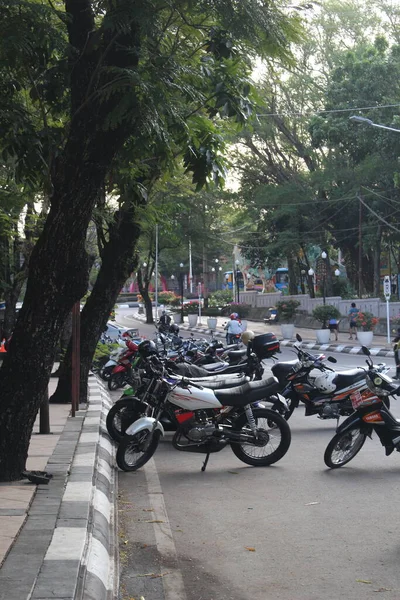 一排排的摩托车停在路边 对面有一个公园 — 图库照片