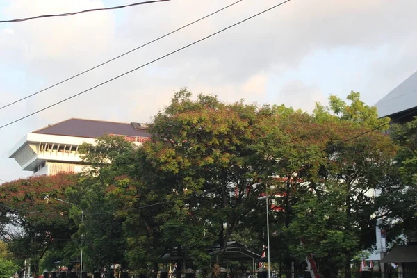 Schaduwrijke Bomen Stad Staat Een Gebouw Achter — Stockfoto