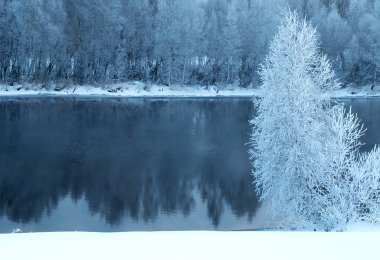 Nehir kıyısında karla kaplı beyaz ağaçlar sabahın erken saatlerinde mavi renkte