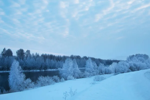 Schneebedeckte Weiße Bäume Ufer Des Flusses Frühmorgens Blauer Farbe Und — Stockfoto