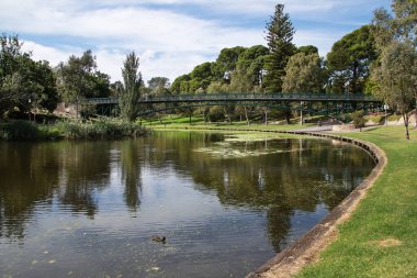 Manzara, nehir üzerinde köprüsü olan şehir parkı, yaz zamanı, yeşil ağaçlar, şehir manzarası.