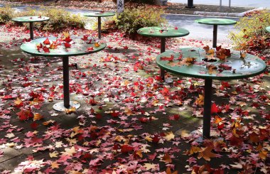 Kırmızı ve sarı sonbahar yaprakları yeşil ıslak masalarda