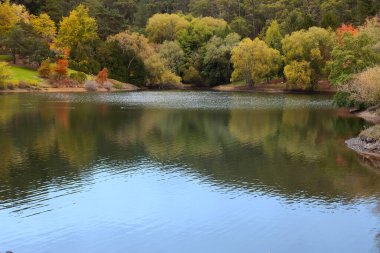 Önünde bir göl olan sonbahar manzarası arka planda birçok sonbahar sarı ve kırmızı ağaçlar var.