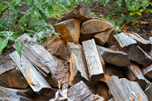 Heap Wooden Firewood Pieces Old Dry Wood Close — Foto de Stock