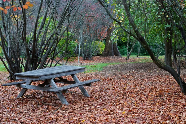 Landscape Autumn Trees Old Wooden Table Bench Many Yellow Leaves — Photo