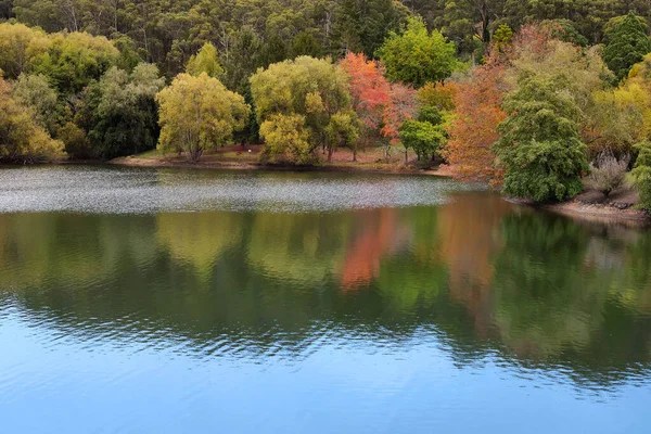 Autumn Landscape Lake Foreground Many Autumn Yellow Red Trees Reflection — Foto Stock