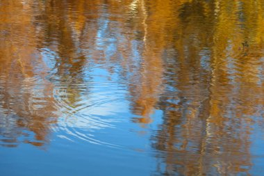 Güzel yaz manzarası. Göle su damlası