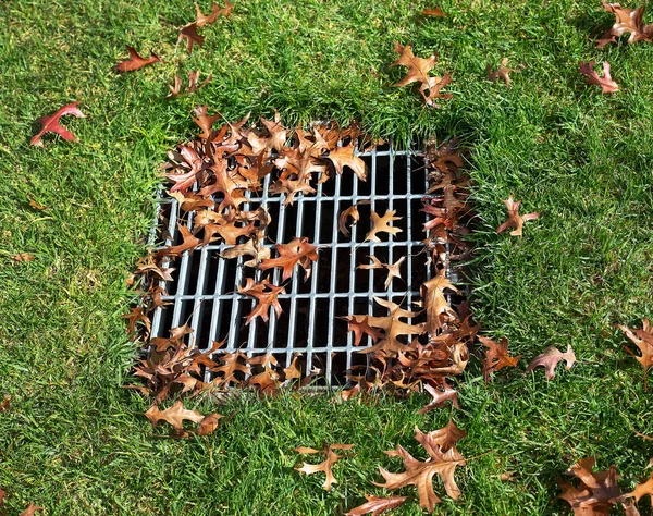 Metal kafes yeşil çimlerle çevrili ve sarı sonbahar yapraklarıyla kaplı, soyut sembolik resim