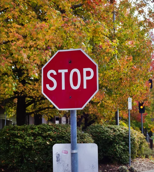 Señal Roja Tráfico Stop Sobre Fondo Los Árboles Rojos Amarillos Fotos de stock