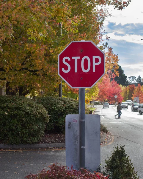 Rotes Verkehrsschild Stop Vor Dem Hintergrund Roter Und Gelber Herbstbäume — Stockfoto