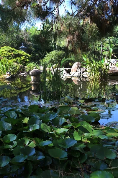 Stone Pedestal Pond Background Green Trees Grass Element Japanese Garden — ストック写真