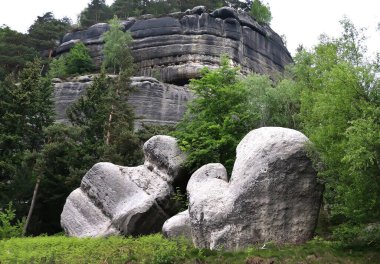 Manzara, kayaların ve yeşil ormanın arka planında büyük taşlar, ilginç taş dokusu.