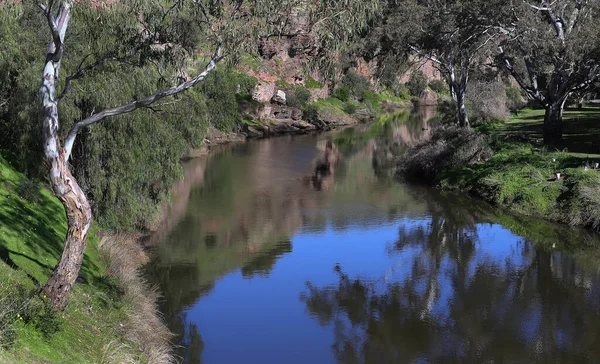 Summer river landscape, a river with a calm flow between high banks and green trees