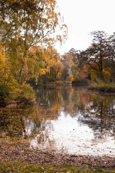 Spacerując Jesienią Parku Jakieś Złote Drzewa Wysokiej Jakości Zdjęcie — Zdjęcie stockowe