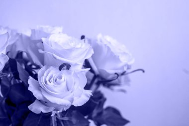 Çok Peri tarzı. soyut arkaplan kavramı. 2022 Seçili keskinliğin rengi.