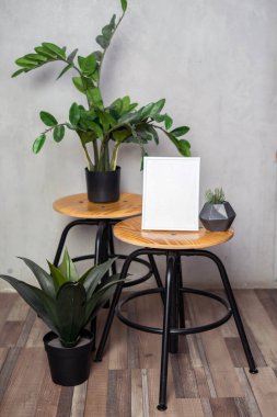 Çerçeve maketli güzel ev yapımı zamiokulkalar. Yüksek kalite fotoğraf