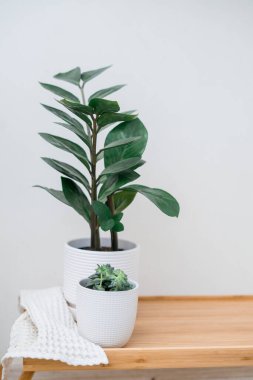 Ahşap masada beyaz portre çerçevesi modeli. Zamiokulka ve saksıda sulu şeyler. Beyaz duvar arka planı. İskandinav iç mimarisi. Dikey. - Evet. Yüksek kalite fotoğraf