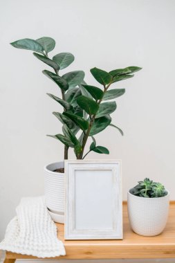 Ahşap masada beyaz portre çerçevesi modeli. Zamiokulka ve saksıda sulu şeyler. Beyaz duvar arka planı. İskandinav iç mimarisi. Dikey. - Evet. Yüksek kalite fotoğraf