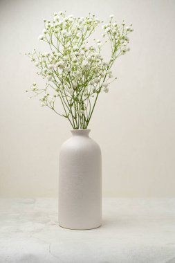 Çingene usulü. Bahar geliyor konsept. Çiçekler ve şekerler. İçinde gypsophila.candinavian iç tasarımı olan modern seramik vazo..