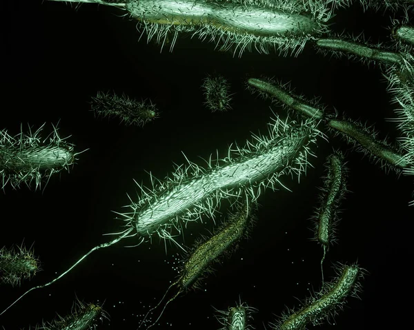 Eine Illustration Einer Bakteriengruppe Die Abwasser Schwimmt — Stockfoto