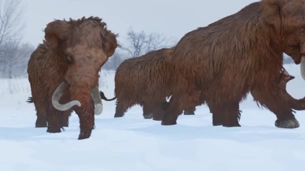 Eine Animation Einer Herde Wollmammuts Die Während Der Eiszeit Einem — Stockvideo