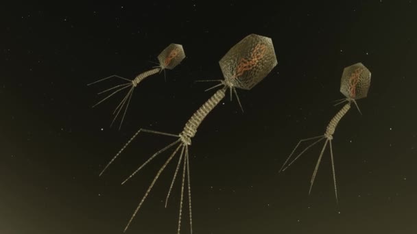 Animación Del Virus Del Bacteriófago Flotando Sobre Fondo Oscuro — Vídeos de Stock