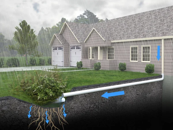 Diagrammatic Illustration Rain Garden Drainage System Rainwater Run Diverted Gutters Stock Picture