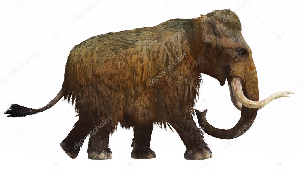 A 3D illustration side view of a Woolly Mammoth on a white background