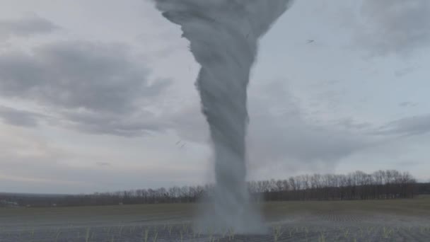 Een Animatie Van Een Tornado Een Veld Met Audio — Stockvideo