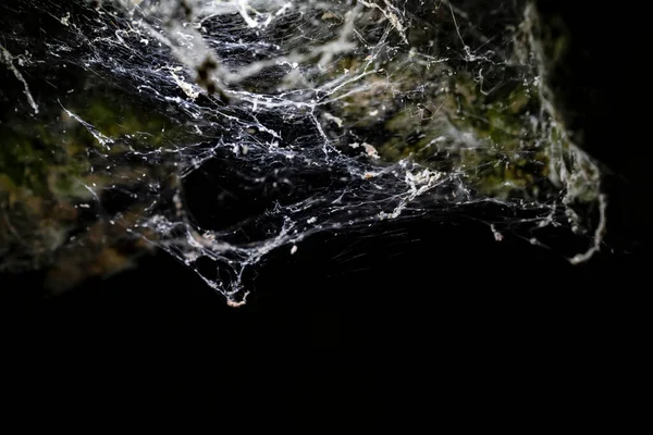 White spider web in rays of light in dark cave. — Stock Photo, Image