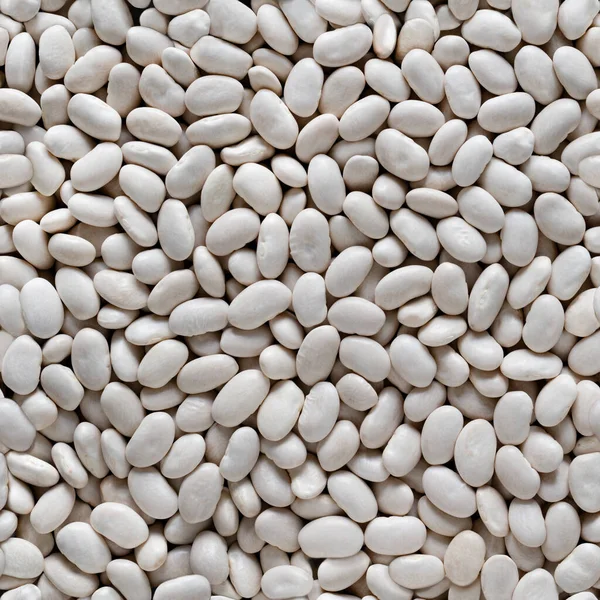 Sömlös textur av bakgrunden av vita bönor. — Stockfoto