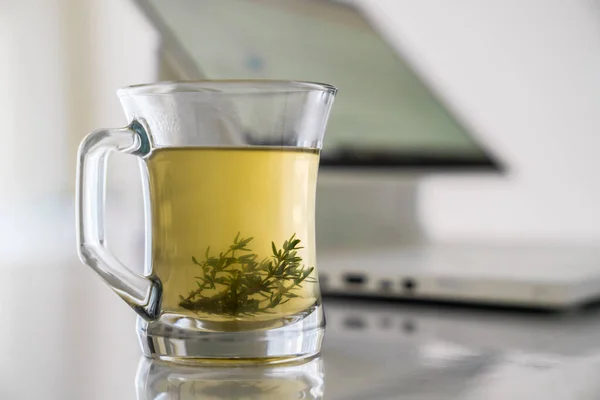 Glass transparent cup with herbal tea with grass leaves on the background of a working computer. Concept of relax. — стоковое фото