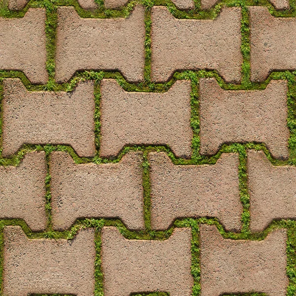 Textura Sem Costura Fundo Grama Verde Brotou Entre Tijolos Caminho — Fotografia de Stock