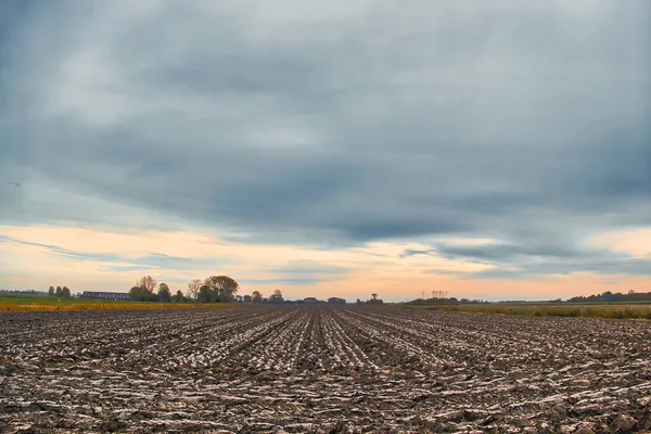Freshly Ploughed Field Heavy Clay Grey Sky Just Sunset Trees — Stock Photo, Image