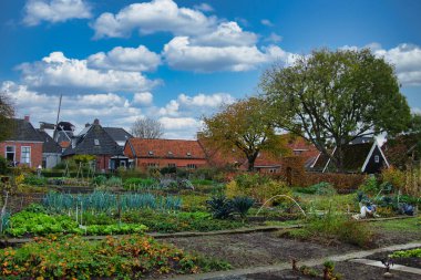 Winsum 'un merkezindeki sebze bahçeleri, resmi olarak Hollanda' nın en güzel köyü olarak ilan edildi.. 