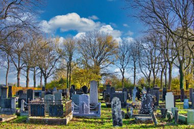 Güneşli bir sonbahar gününde eski bir mezarlık, Sauwert, Hollanda