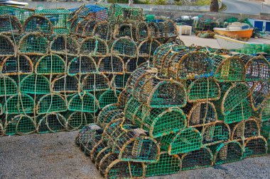Sagres, Algarve, Portekiz balıkçı limanında yığınla ıstakoz var.