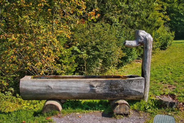 Traditional Water Fountain Made Wood Sixt Fer Cheval Department Haute — Stock Photo, Image