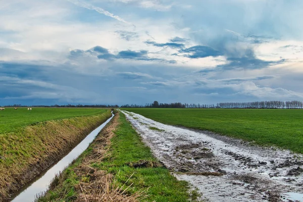 Muddy Dirt Road Narrow Ditch Wide Open Land Agricultural Dutch — Stock Photo, Image