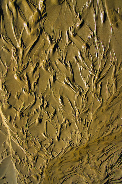 Шаблоны на мокром песке напоминают стилизованные морские водоросли. Абстрактная схема потока.