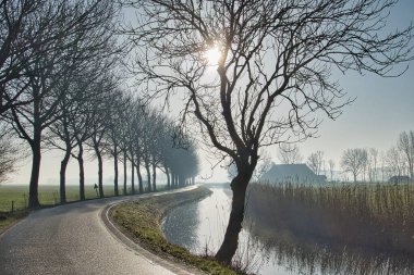 Hollanda 'nın kırsal kesimindeki Groningen ilinde, Warffum yakınlarındaki bir su yatağı boyunca uzanan çıplak ağaçlarla kaplı bir köy yolu, soğuk bir kış gününde